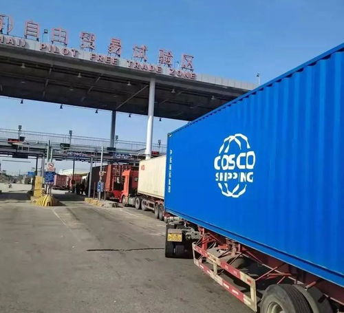 外高橋保稅區(qū) 承接全國近七成進(jìn)口血透產(chǎn)品，物流企業(yè)構(gòu)筑生命通道