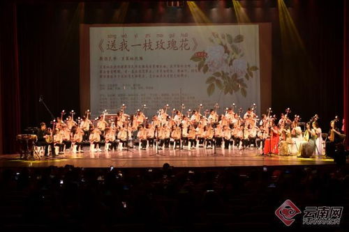 花韻琵琶傳雅韻，彩云之南奏華章——首屆彩云花韻琵琶文化藝術周系列活動圓滿落幕